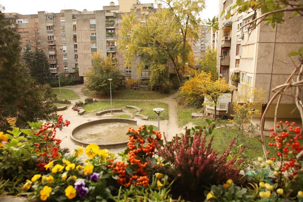 Apartment Spacious Liman Novi Sad Exterior foto