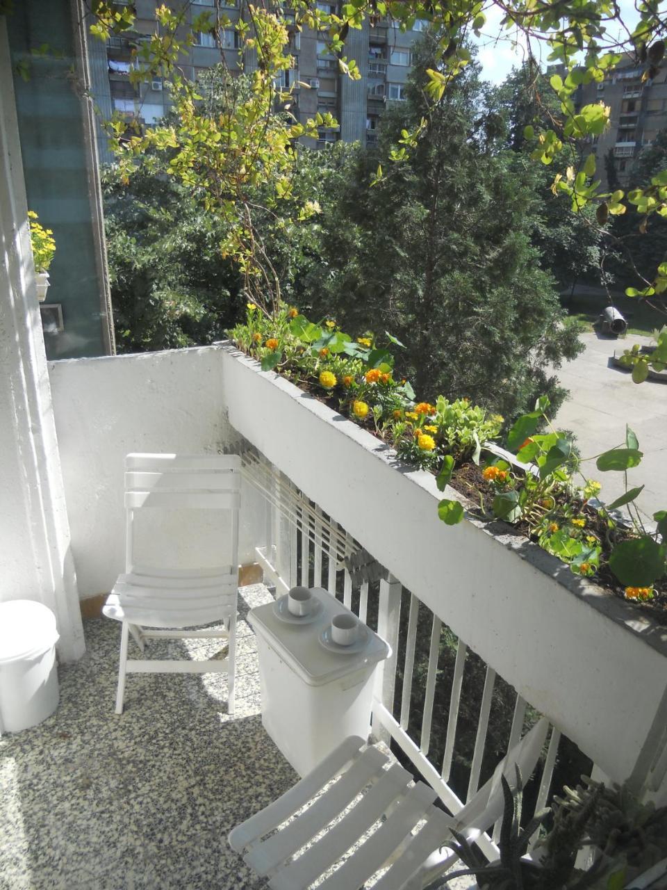 Apartment Spacious Liman Novi Sad Exterior foto